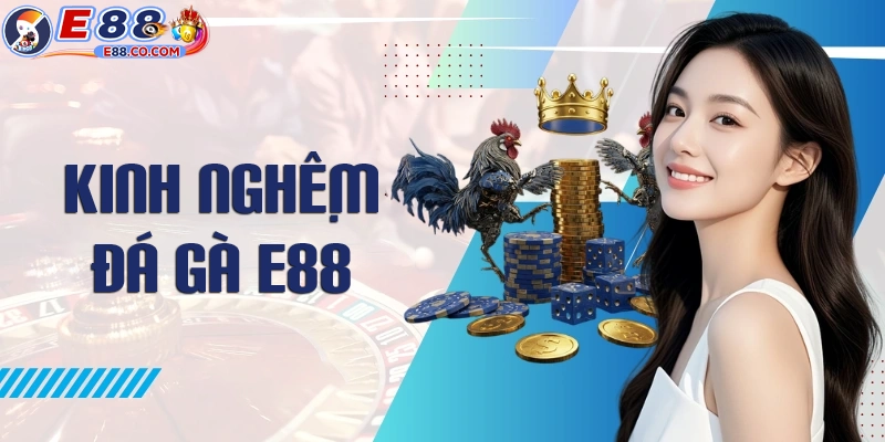 Kinh nghiệm chơi đá gà E88 hiệu quả