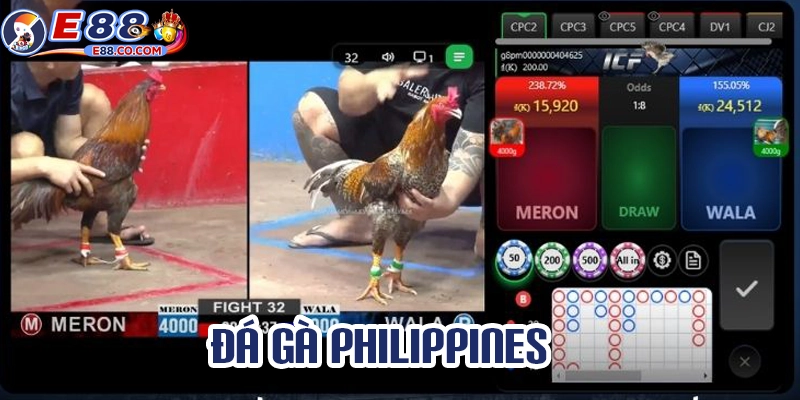 Lưu ý khi tham gia cá cược đá gà Philippines online